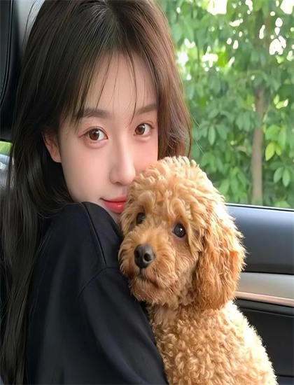 如何欣赏《让我们在一起》？追剧必备指南教你理解社会意义与现实价值 提升观影体验